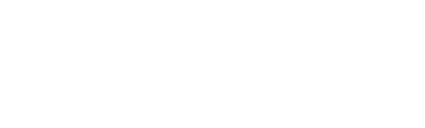 vilasa white logo
